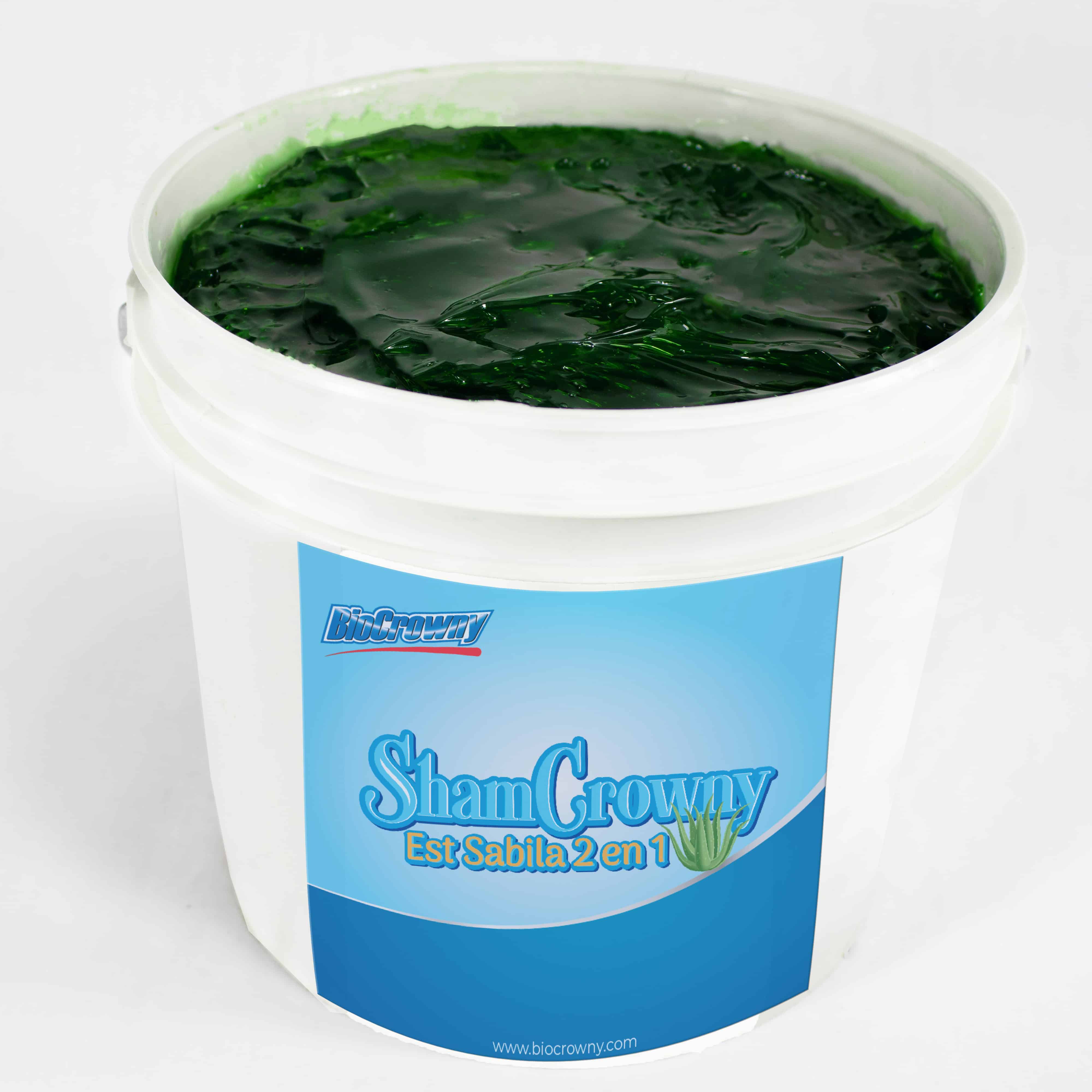 Shampoo 2 en 1 Extractos de Sábila