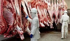 Muestreo en establecimientos TIF