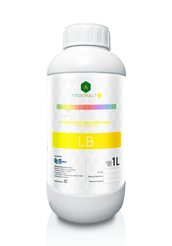 Extracto Hidroalcohólico de Orégano Antimicrobiano Natural (Origanum Vulgare)