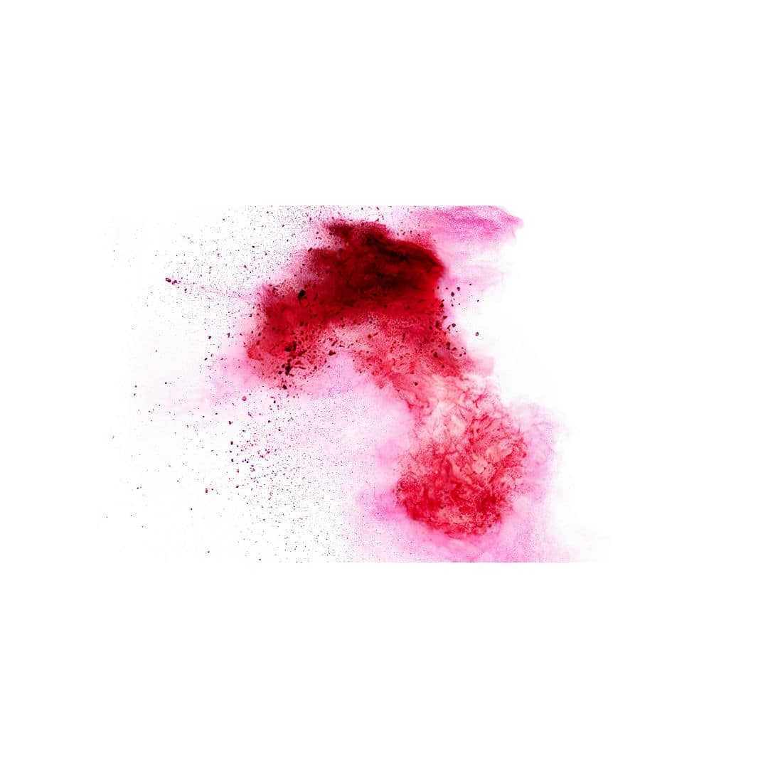 Colorantes dispersos rojo 82 200% Chemlogis