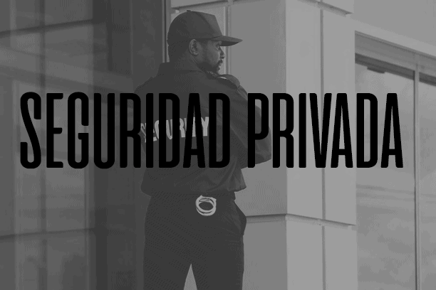 Seguridad privada para empresas Elementos de Seguridad