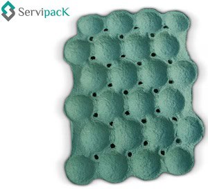 Charolas y hueveras para aguacates  Grupo Servipack 3