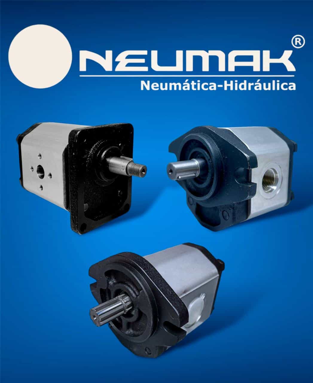 Bombas de engranes hidráulicas Neumak