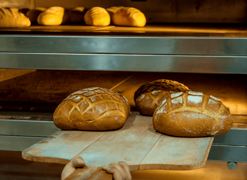 Enzimas para Alimentos y Bebidas Nutryplus - 3