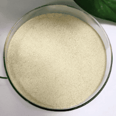 Bacillus licheniformis polvo