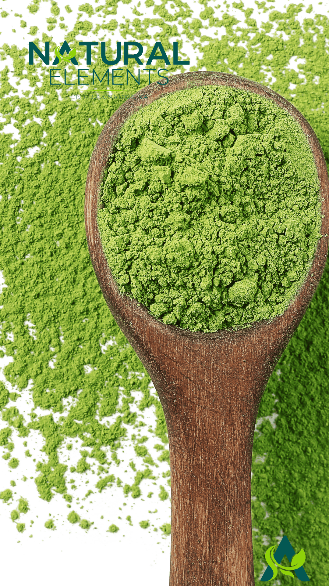 TE MATCHA POLVO 