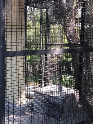 Mallas de seguridad de acero inoxidable Regio Cribas 1