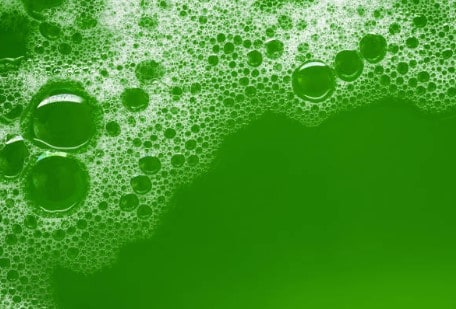 Enzimas para Detergentes Líquidos y en Polvo Avizor Química - 3