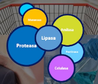 Enzimas para detergentes multienzimaticas Avizor Química 3
