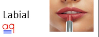 Enzimas para detergentes Tecno Lipase L para manchas de aceite y grasa
