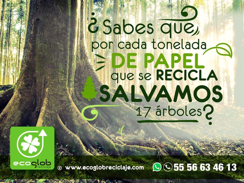 compra de papel: archivo, revista, cartón, periódico, libros, folletería, bobinas de papel