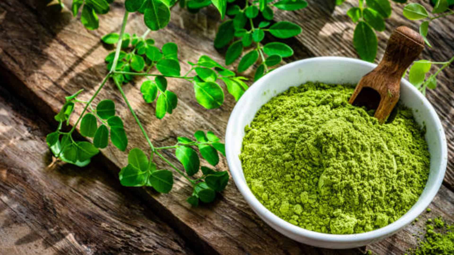 Herbolaria MORINGA (Extracto seco o en hojas en  polvo) Nutraze 2