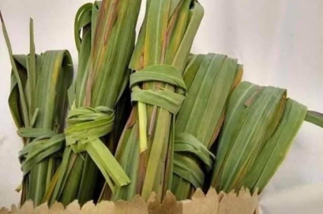 Herbolaria TE DE LIMÓN (Extracto seco y en polvo)