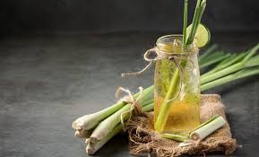 Herbolaria TE DE LIMÓN (Extracto seco y en polvo)