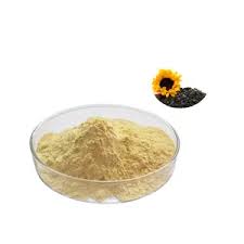 Herbolaria SEMILLA DE GIRASOL EN POLVO