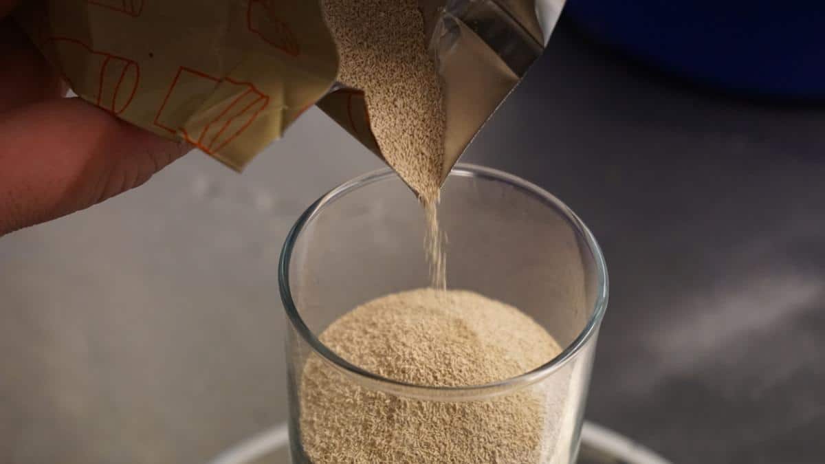 Materias primas para la industria alimentaria LEVADURA DE CERVEZA EN POLVO Nutraze 1