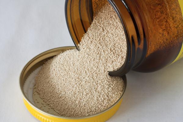Materias primas para la industria alimentaria LEVADURA DE CERVEZA EN POLVO Nutraze 2