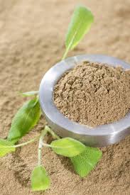 Herbolaria SALVIA (EXTRACTO SECO O EN POLVO)