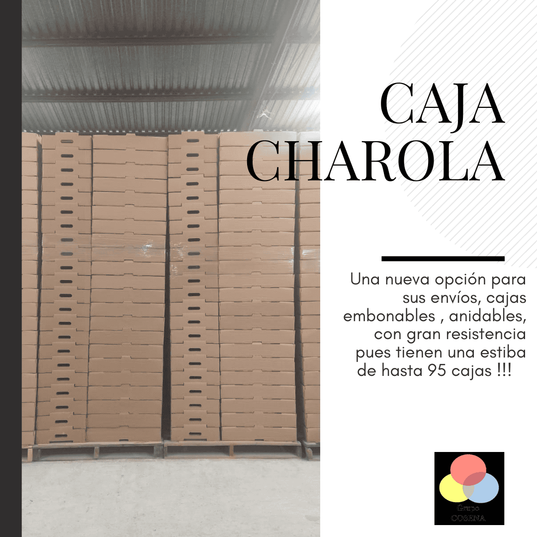 Cajas de cartón charola Grupo Cosena