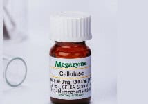 Enzimas Megazyme 2