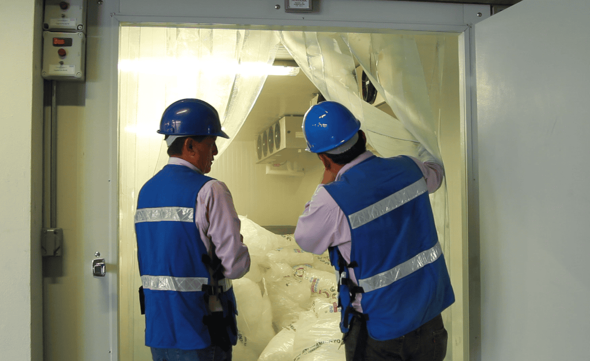 Cuartos frios - Aislacon Aislamientos Constructivos 2