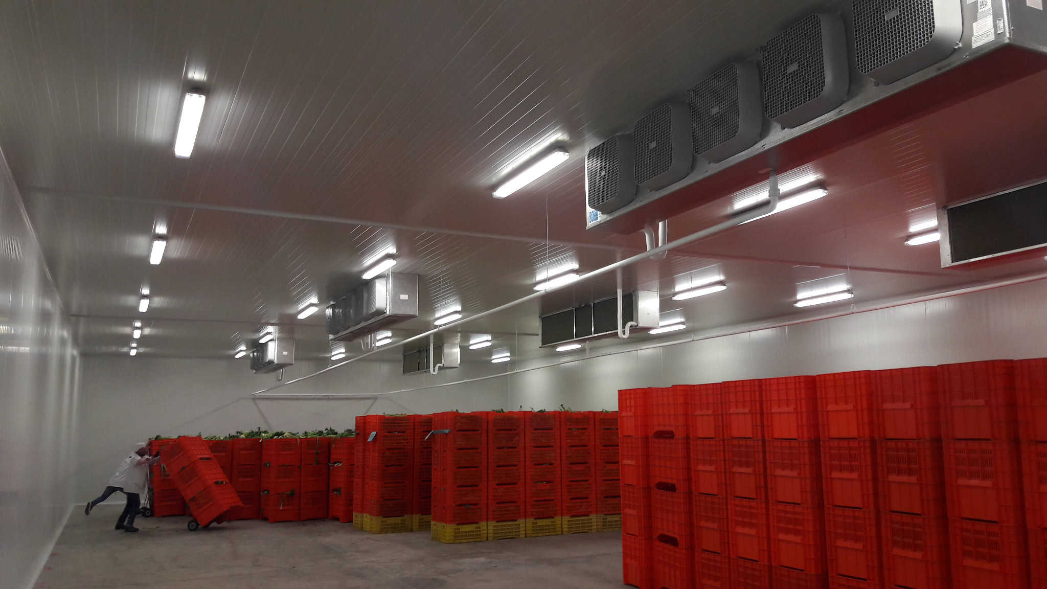 Cámaras de congelación y refrigeración para frutas Aislamientos Constructivos