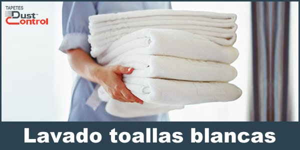 Lavandería industrial lavado de toallas 