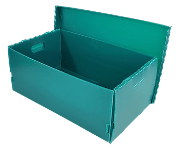 Cajas de plastico con tapa separada