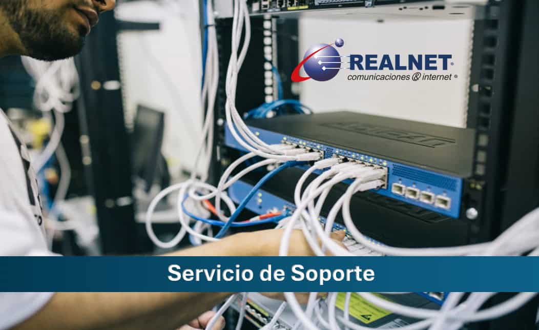Servicio de soporte en sitio