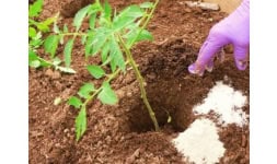 Sulfato de magnesio - Químicos Fertilizantes y Solventes 4