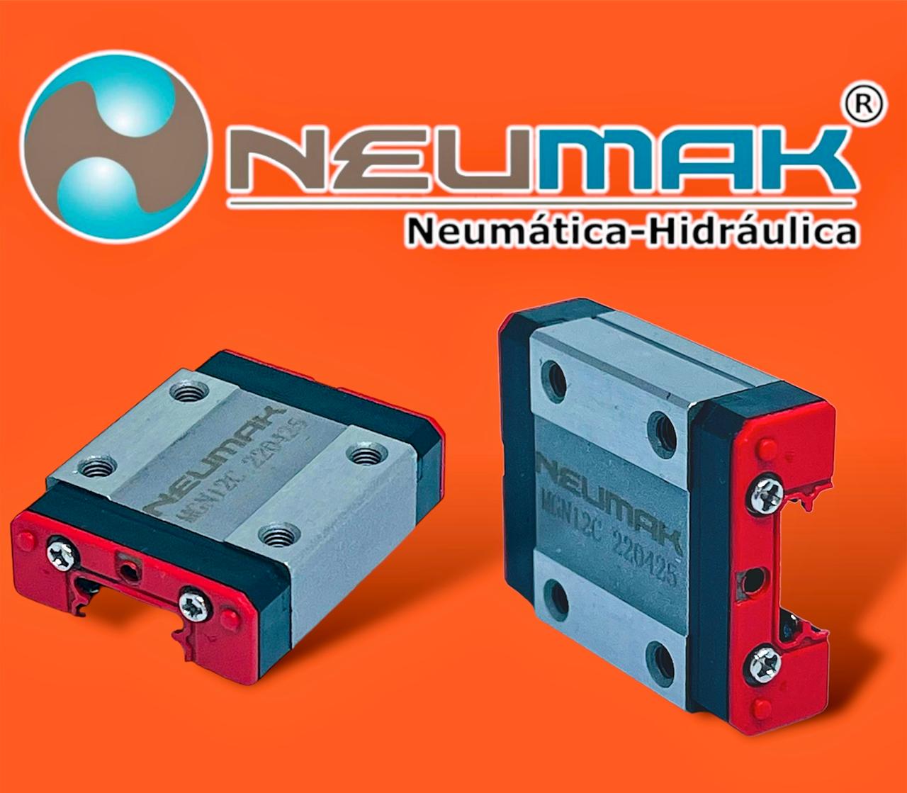 Rodamientos lineales Neumak 3