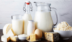Proteinas de plasma - Empresas Vilher 2