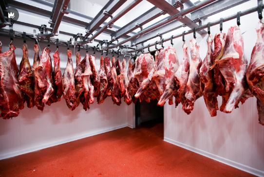 Camaras de refrigeracion para carnicerías ERIRSA1 
