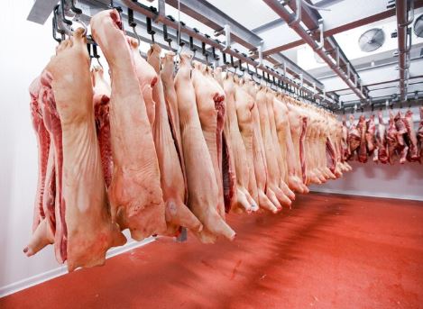 Camaras de refrigeracion para carnicerías ERIRSA 
