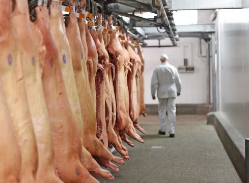 Camaras de refrigeracion para carnicerías ERIRSA 3