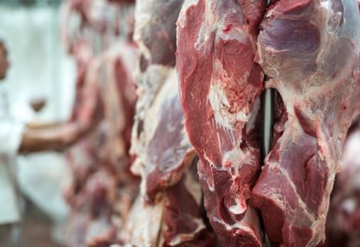 Camaras de refrigeracion para carnicerías ERIRSA 4