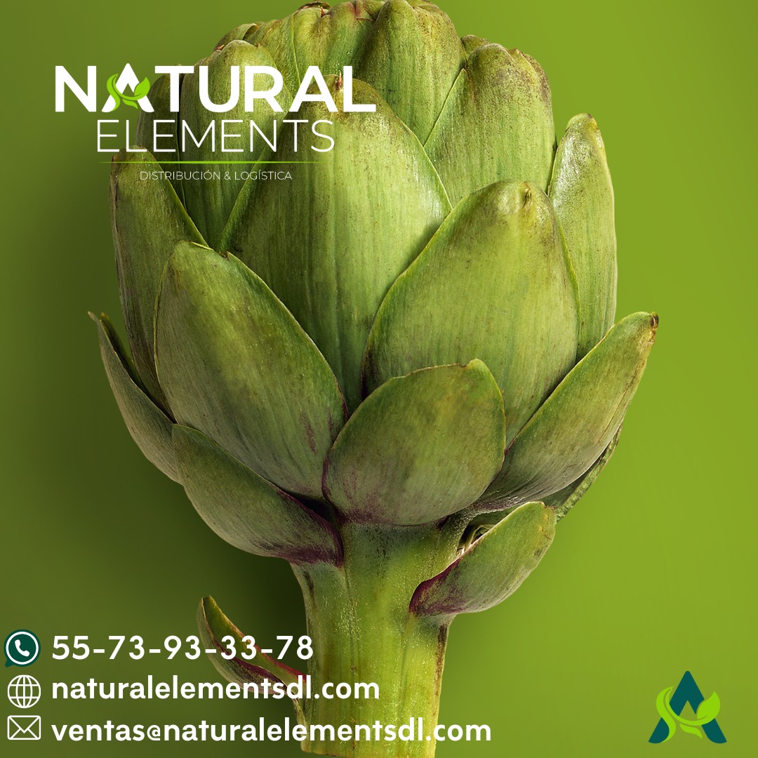 Alcachofa natural