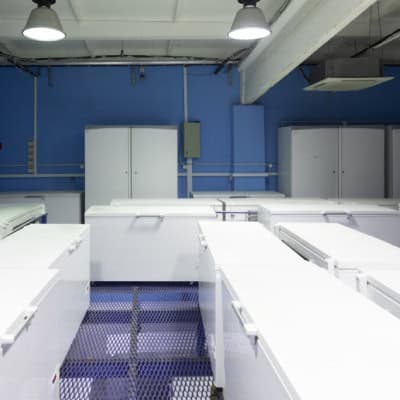 Cuartos fríos para frutas y verduras UNOSERVICE 5
