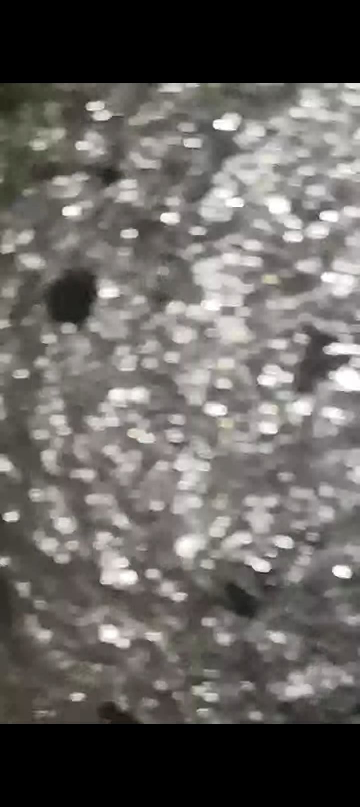 Iridio metálico y sus sales PGM