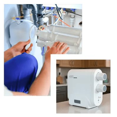 Plantas Purificadoras de Agua para Oficinas - Mountain Life