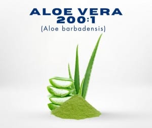 Herbolaria-y-productos-nutracéuticos-Proquinat-2