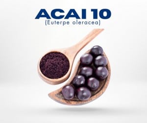 Herbolaria-y-productos-nutracéuticos-Proquinat-4