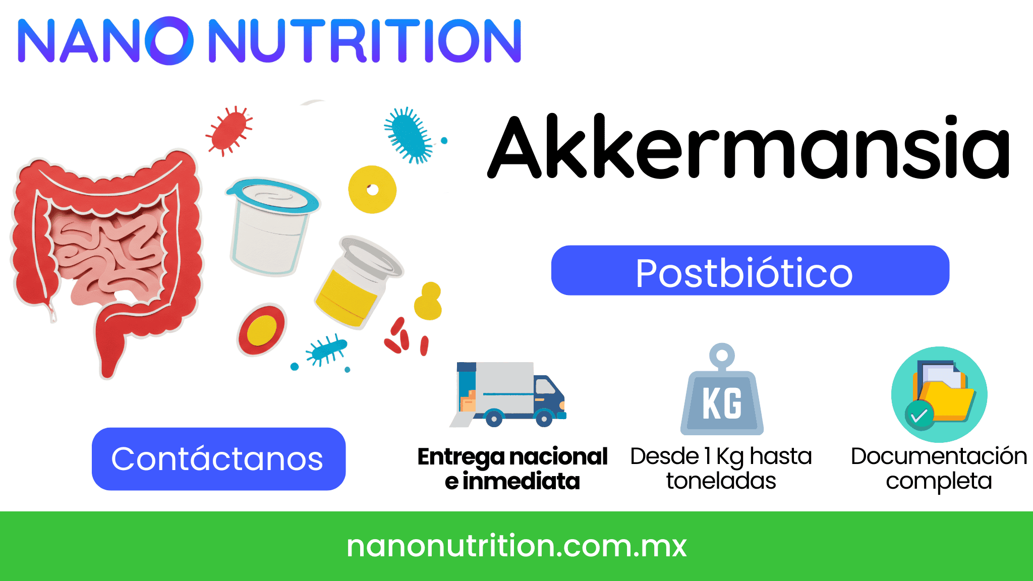 Akkermansia muciniphila tindalizada en polvo para suplementos