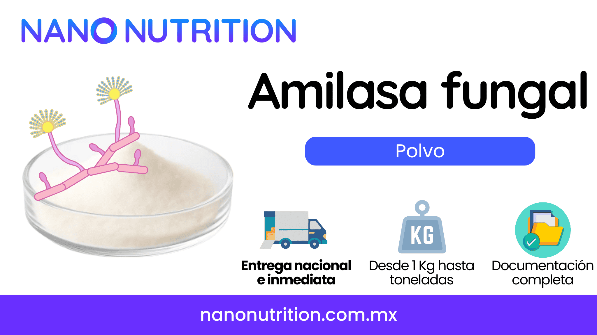 Amilasa fungal en polvo para alimentos y panificación