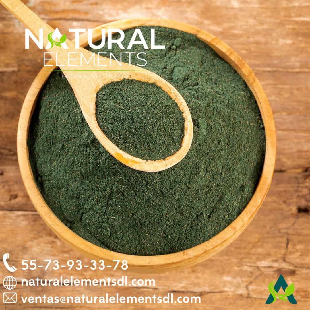Alga kelp en polvo fino