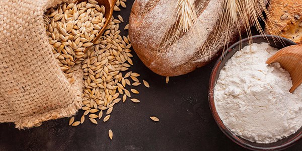 Gluten vital de trigo Gluten y Almidones