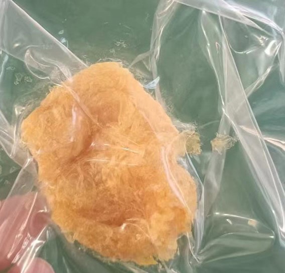 Lecitina de soya Fosfatidilcolina