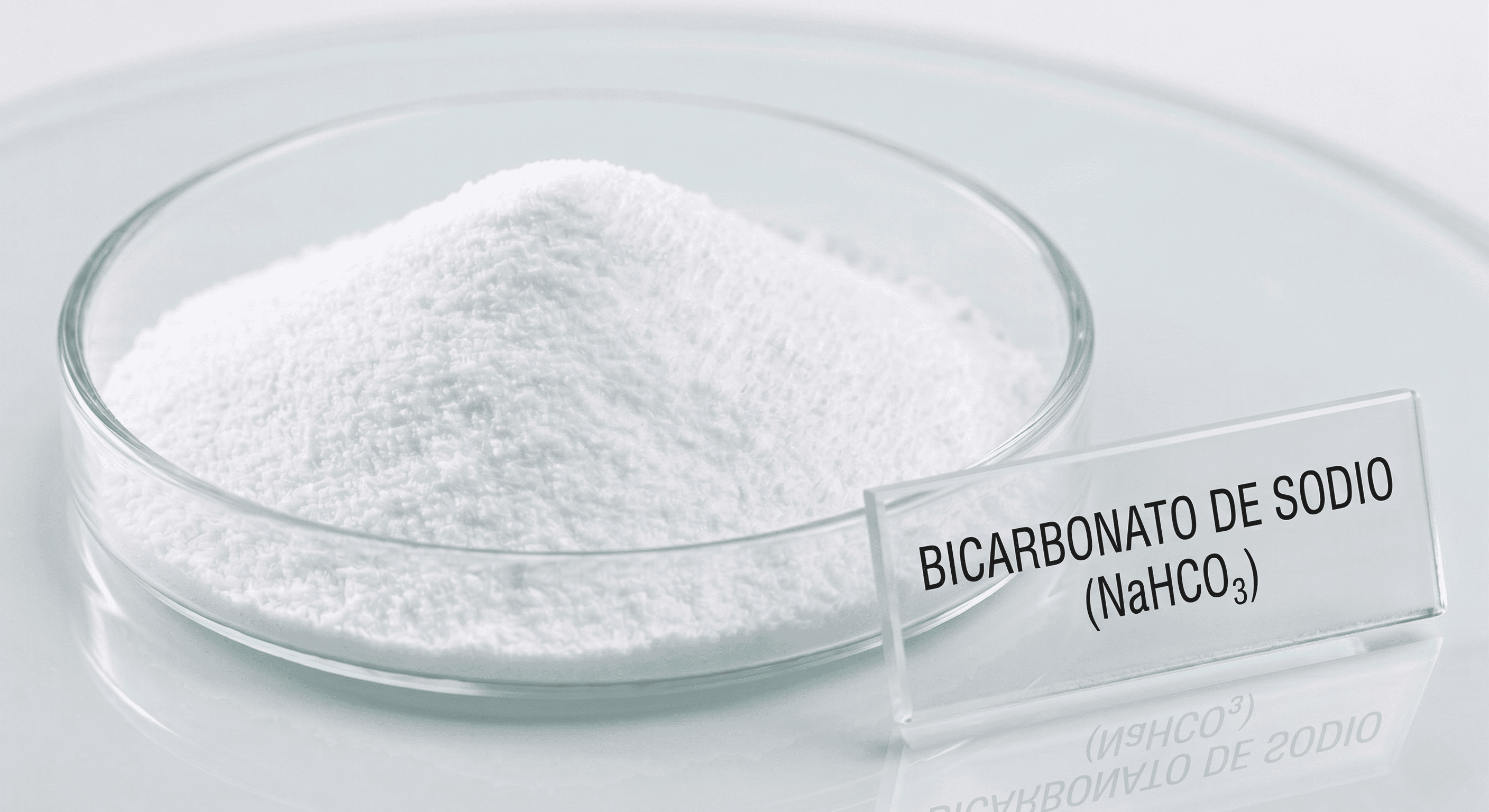 BICARBONATO DE SODIO