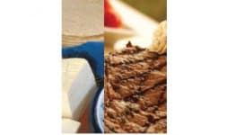 Conservadores para productos alimenticios Nutryplus