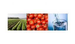 Hipoclorito de calcio (hth) - Aqualife Latinamerican